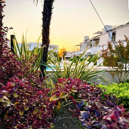 Residence Jesolo Lido Centro Con Piscina Экстерьер фото