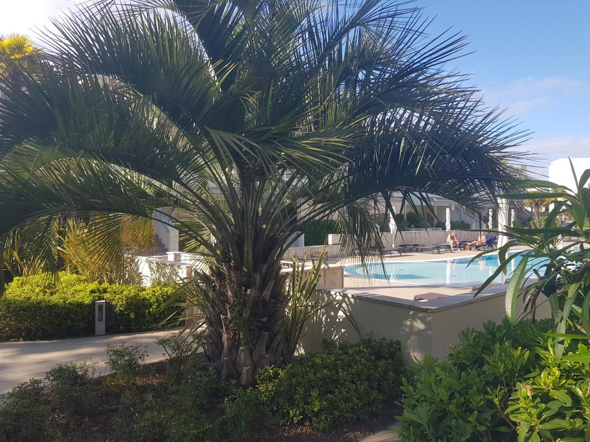 Residence Jesolo Lido Centro Con Piscina Экстерьер фото